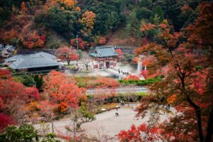 この画像は、紅葉に染まった美しい自然景観と伝統的な建物が組み合わされた場所を写しています。紅葉の鮮やかな色が、建物や噴水、そして周りの森とともに、幻想的な雰囲気を醸し出しています。これと同じように、Discord コミュニティを活用！ブランドファンを増やす新しい戦略は、コミュニティの力を生かして、ブランドに対する愛着を深め、ファンを増やすことができます。自然景観が人々を惹きつけるように、Discord コミュニティもブランドに興味を持つ人たちを集めることができるのです。