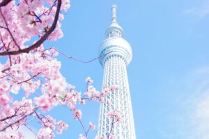 この画像では、桜の花びらが咲き乱れる中に、東京スカイツリーがそびえ立っています。柔らかなピンクの桜と、クリアな青空が背景となり、視覚的にとても魅力的なシーンを形成しています。同じように、Pinterestで売れる商品とは？EC向けビジュアルマーケティングのコツとは、目を引く視覚的な要素を活かした商品紹介が重要です。この画像が人々の目を惹くように、Pinterestでは見た目の良い商品写真やイラストを使って、商品の魅力を伝えることで、消費者の関心を集めることができます 。
