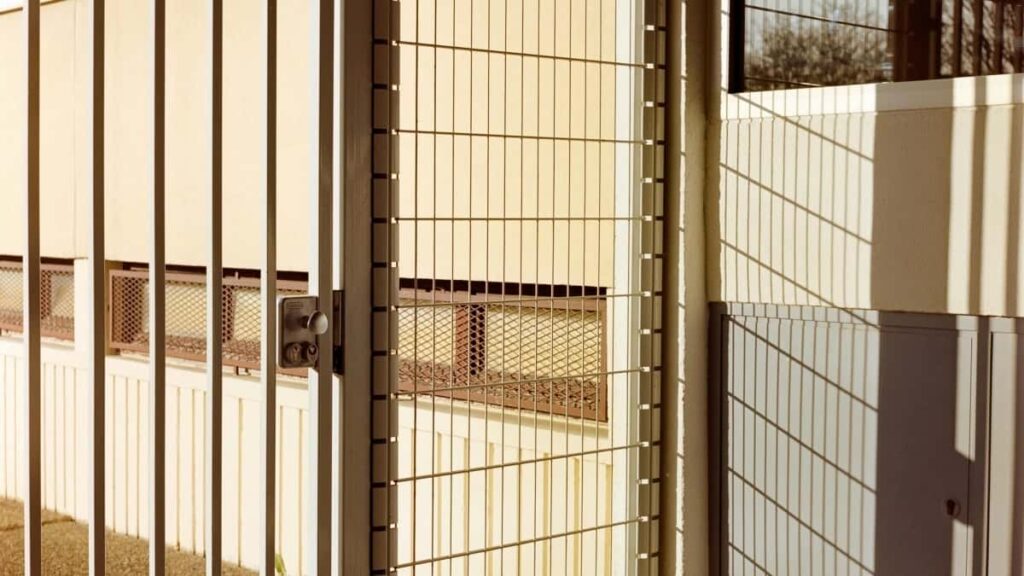 フランスのTelegramインフルエンサーとの効果的なコラボ方法解説