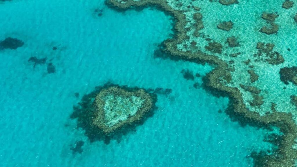 ポーランドのPinterestで注目すべき10人のインフルエンサー