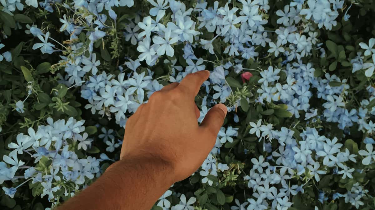 カタールでDiscordクリエイターを見つける方法|ギブアウェイ勝ち筋
